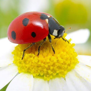 Meet your Posher, Christiane